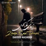 دانلود آهنگ داوود ناقور زيباى كم تحملِ